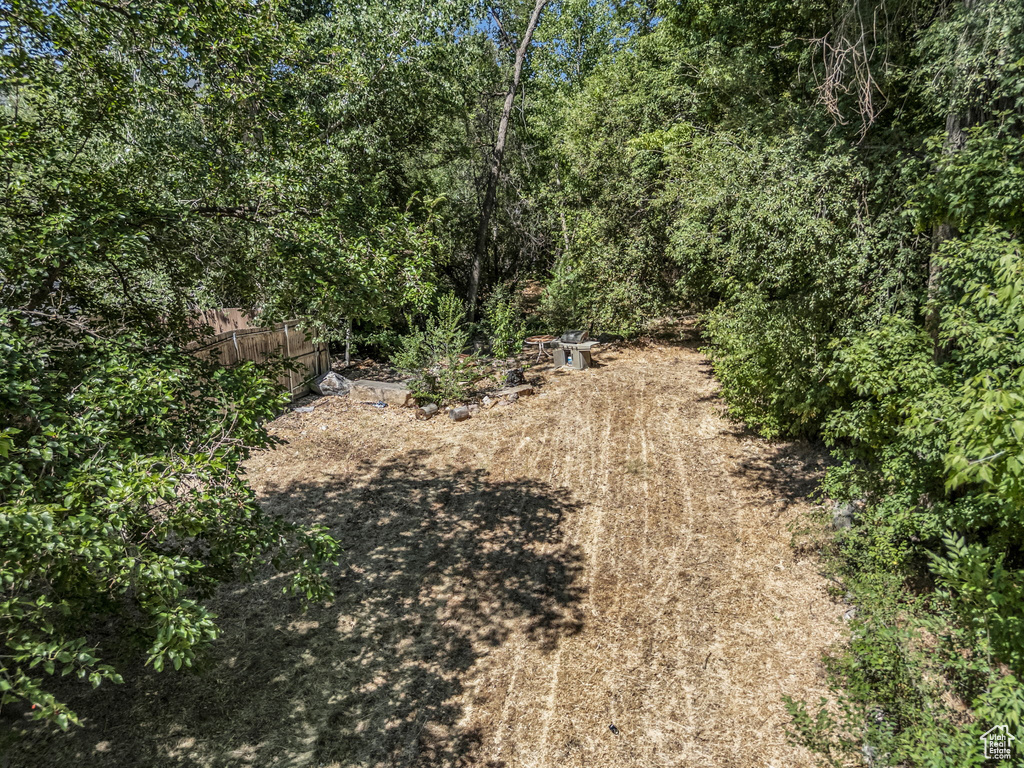 View of tree filled area