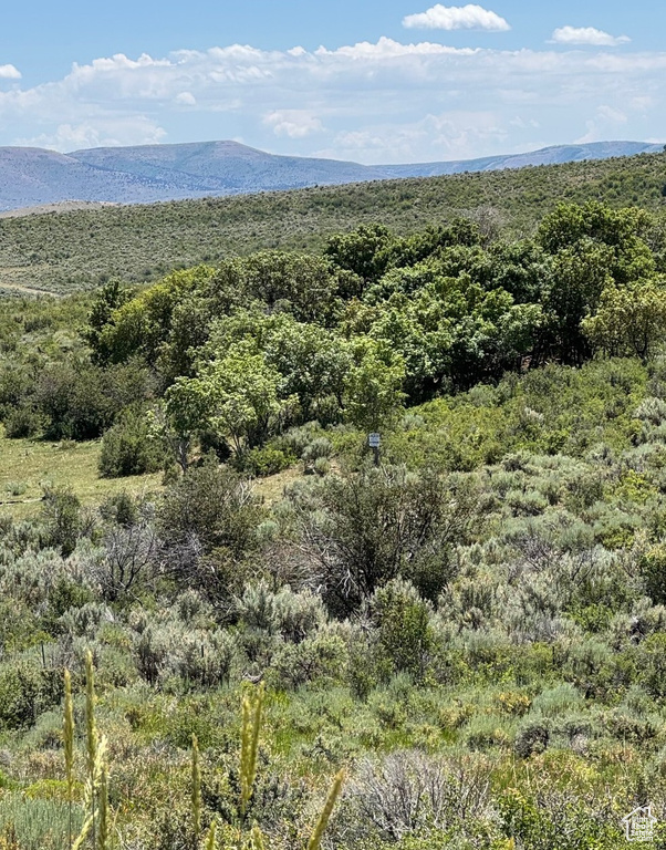 3530 S LONG RIDGE CIR. Garden City, UT 84028