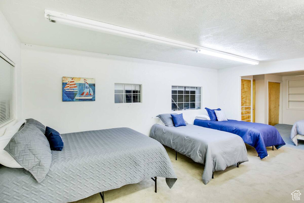 Carpeted bedroom with a textured ceiling