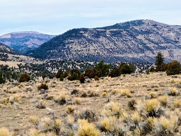 6635 N LOWRY RD Orangeville, UT 84537