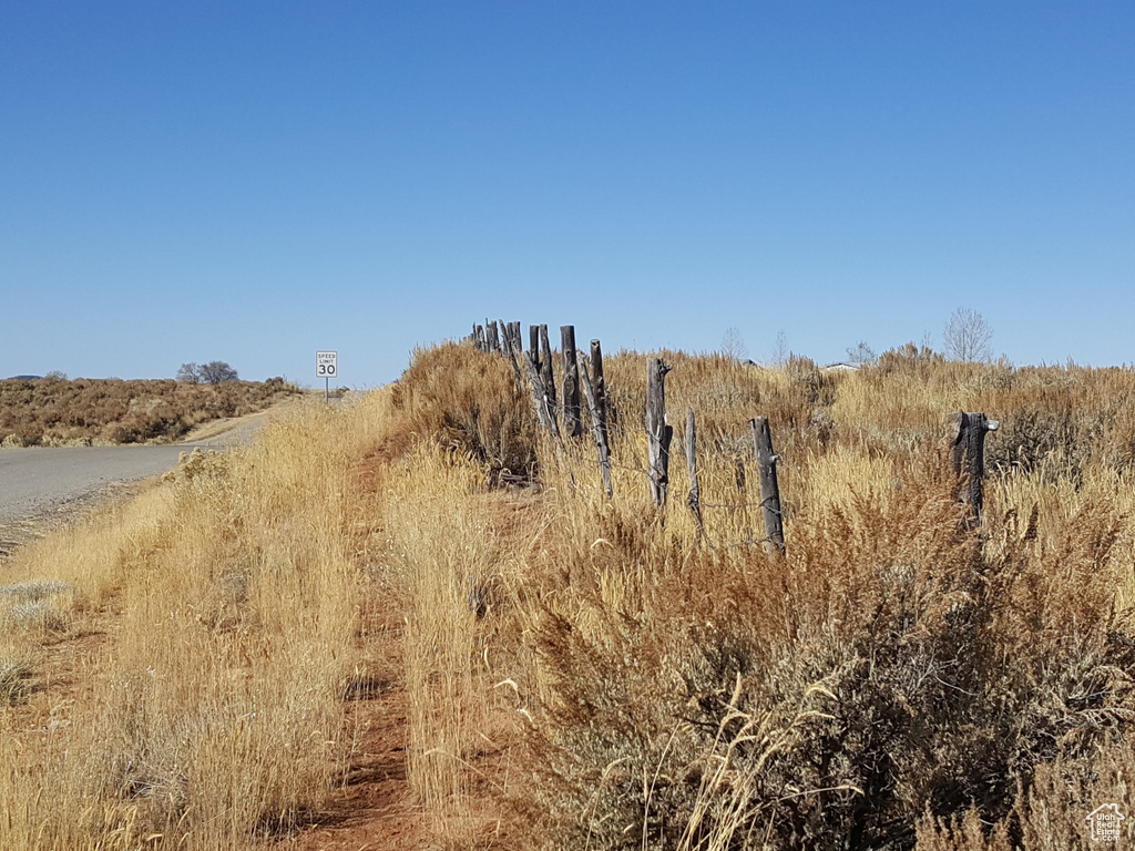 View of local wilderness