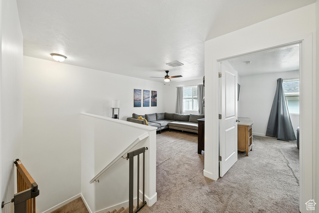 15104 S HALTER WAY Bluffdale, UT 84065