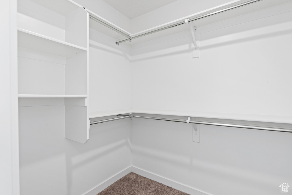 Walk in closet featuring carpet flooring