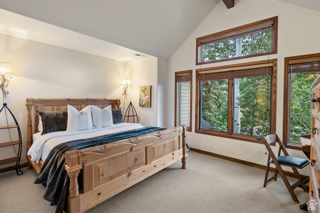 Bedroom with carpet and high vaulted ceiling