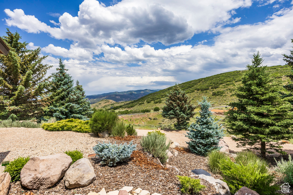 Mountain view