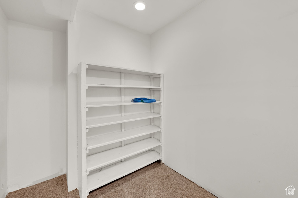 Spacious closet with carpet floors