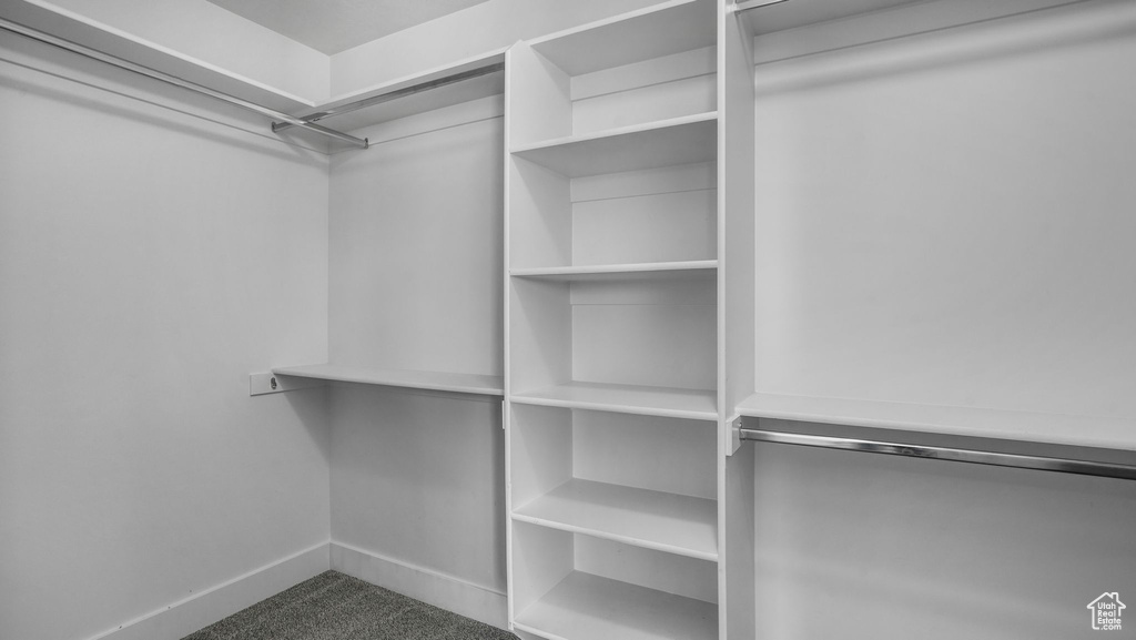 Spacious closet featuring carpet flooring
