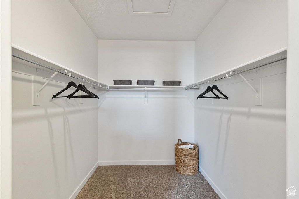 Walk in closet with carpet