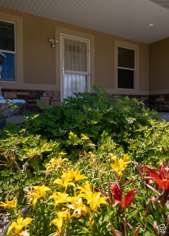 1924 E 1900 S Naples, UT 84078