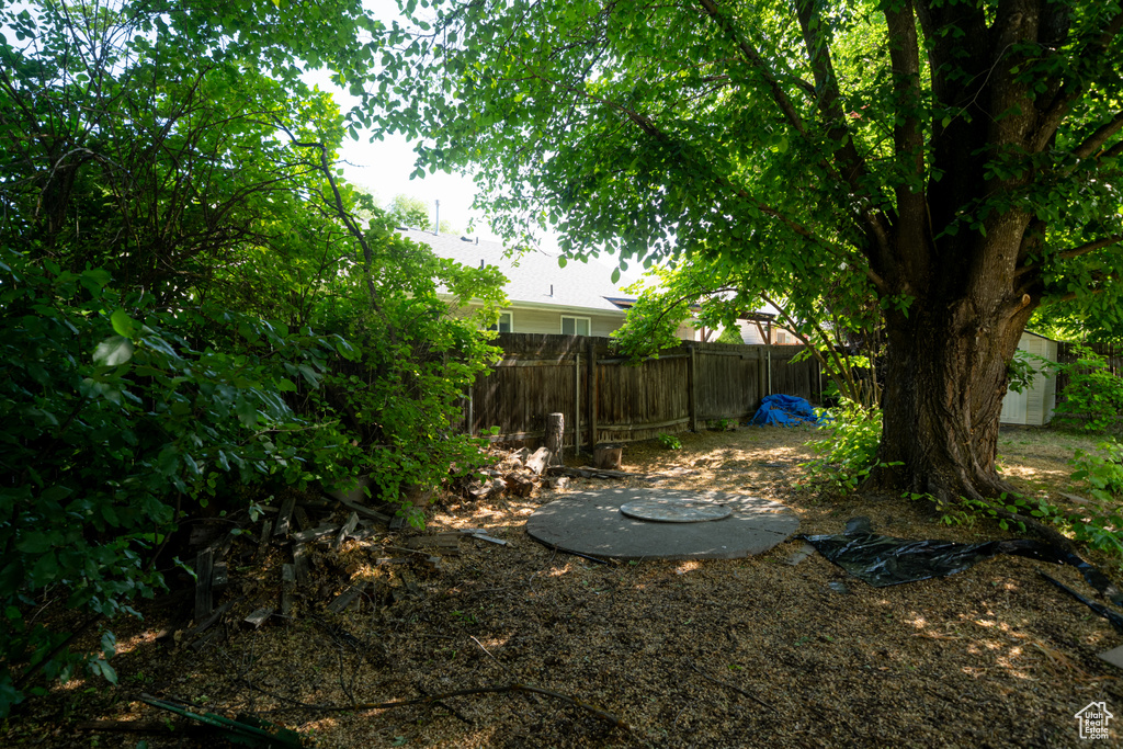View of yard featuring an outbuilding