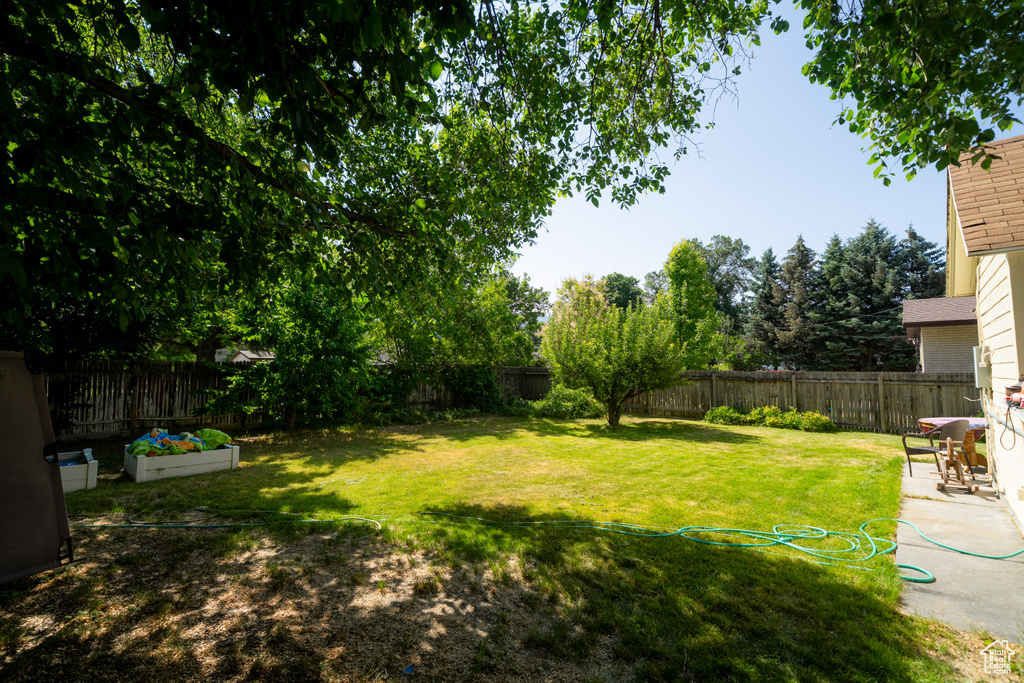 Fenced backyard with a garden