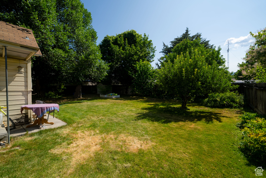 View of fenced backyard