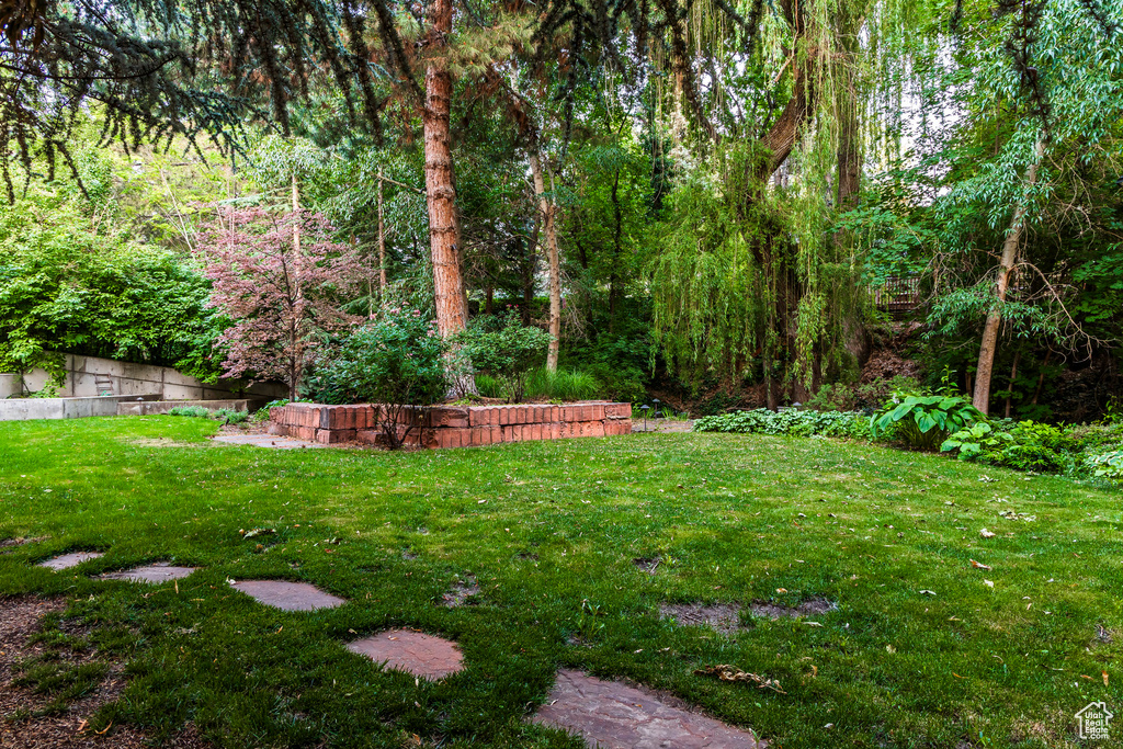 View of green lawn