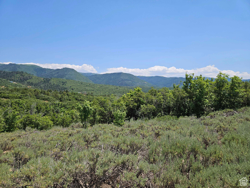 View of mountain background featuring a heavily wooded area