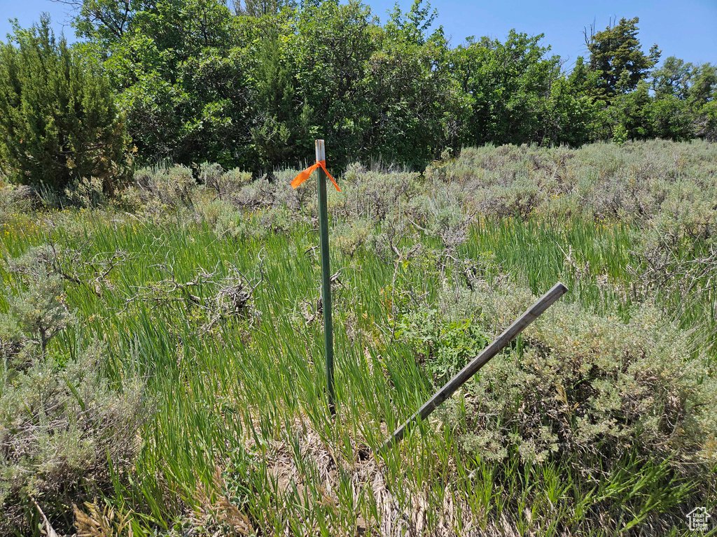 View of undeveloped land