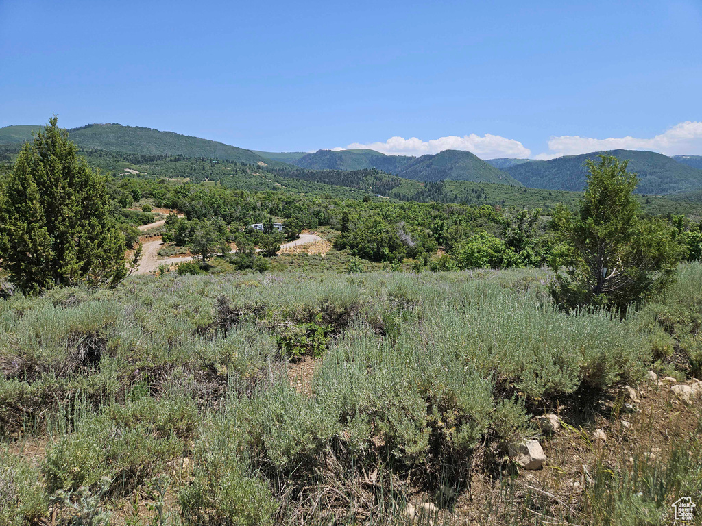 View of mountain background