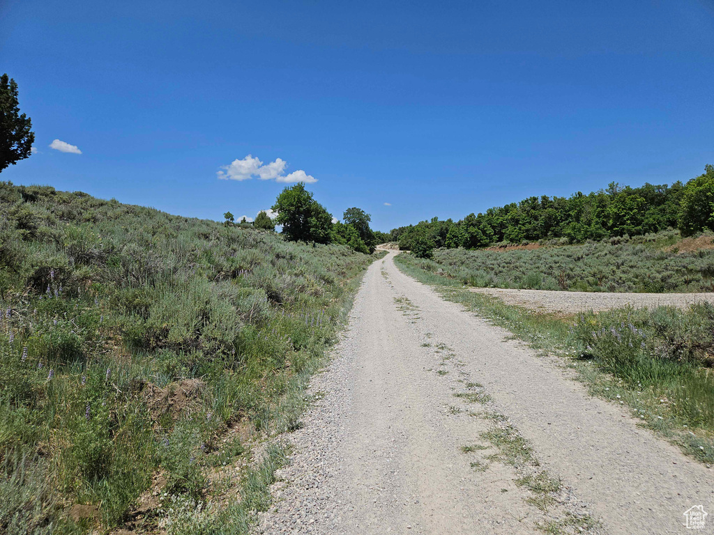 View of dirt / gravel road