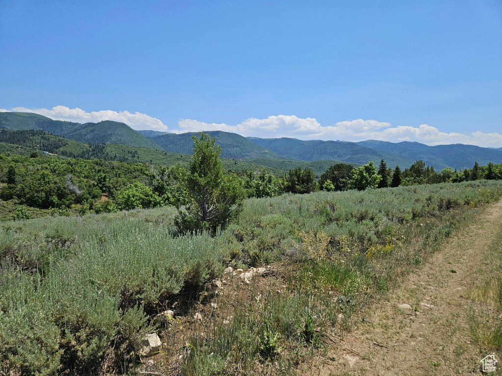 Mountain view