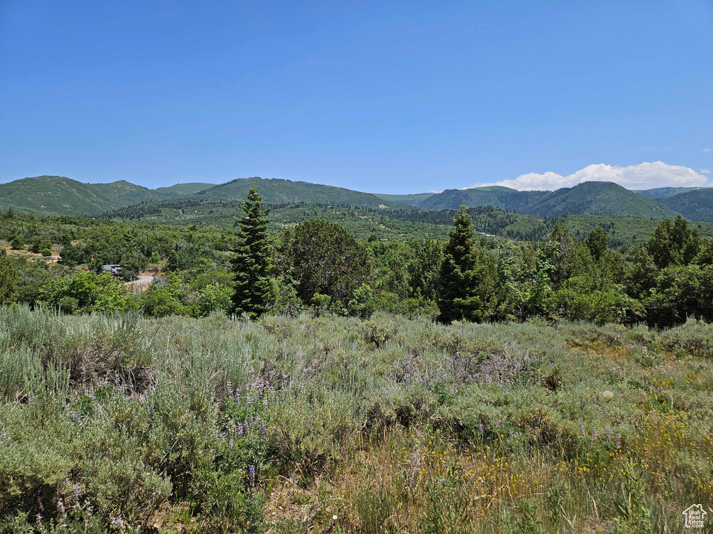 View of mountain backdrop