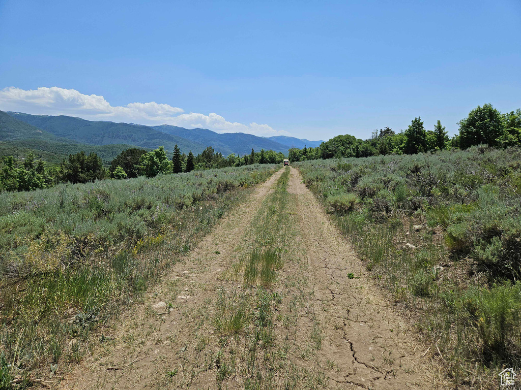 Mountain view with rural landscape
