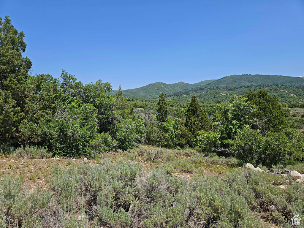 View of mountain background