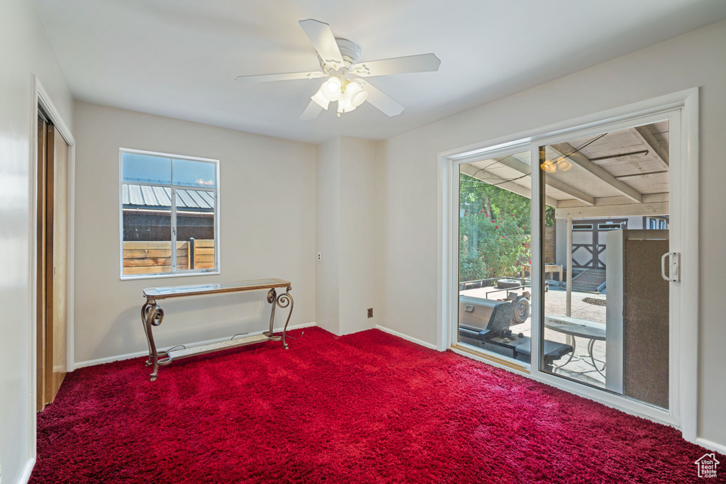 Spare room with carpet, plenty of natural light, and a ceiling fan