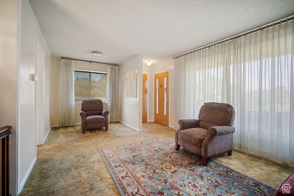 Sitting room featuring a textured ceiling and carpet