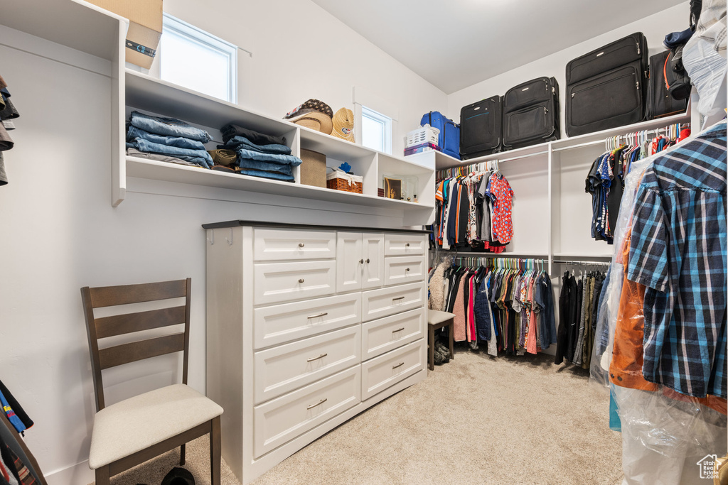 Spacious closet featuring carpet floors