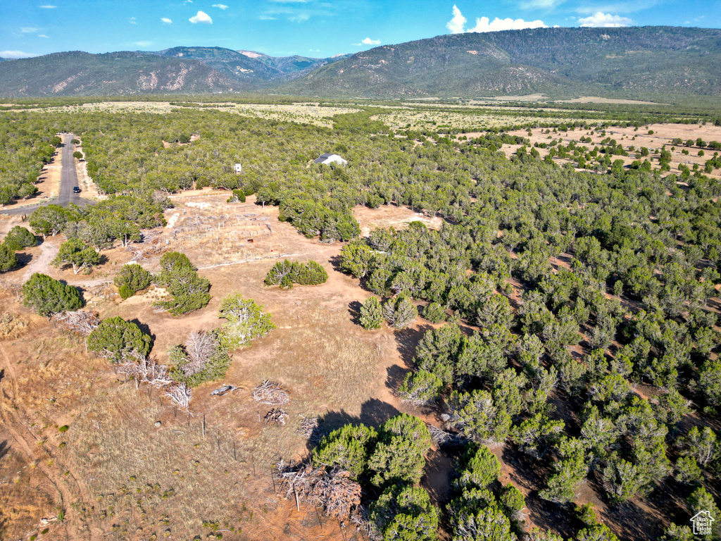View of mountain background