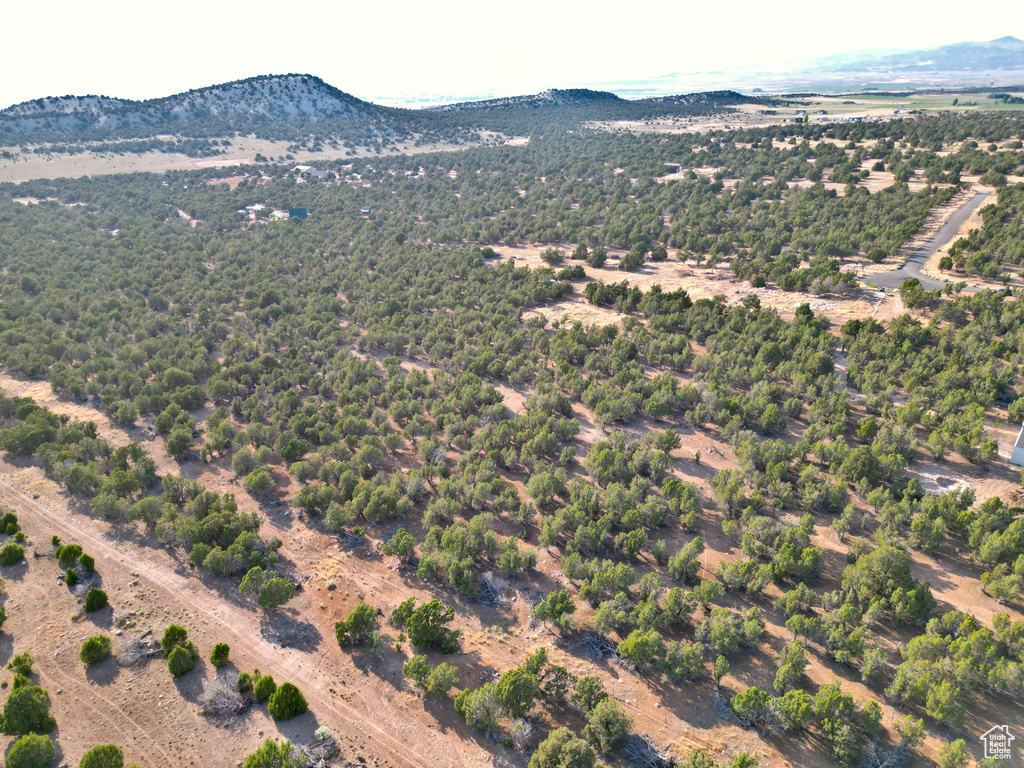 Drone / aerial view of a mountain backdrop