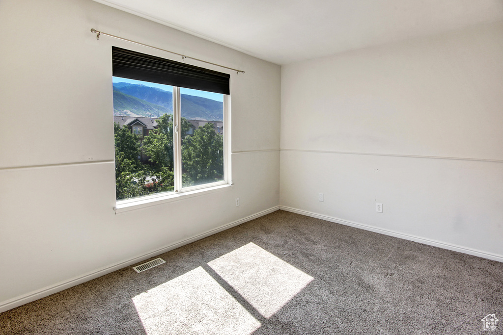 Spare room with carpet floors and plenty of natural light