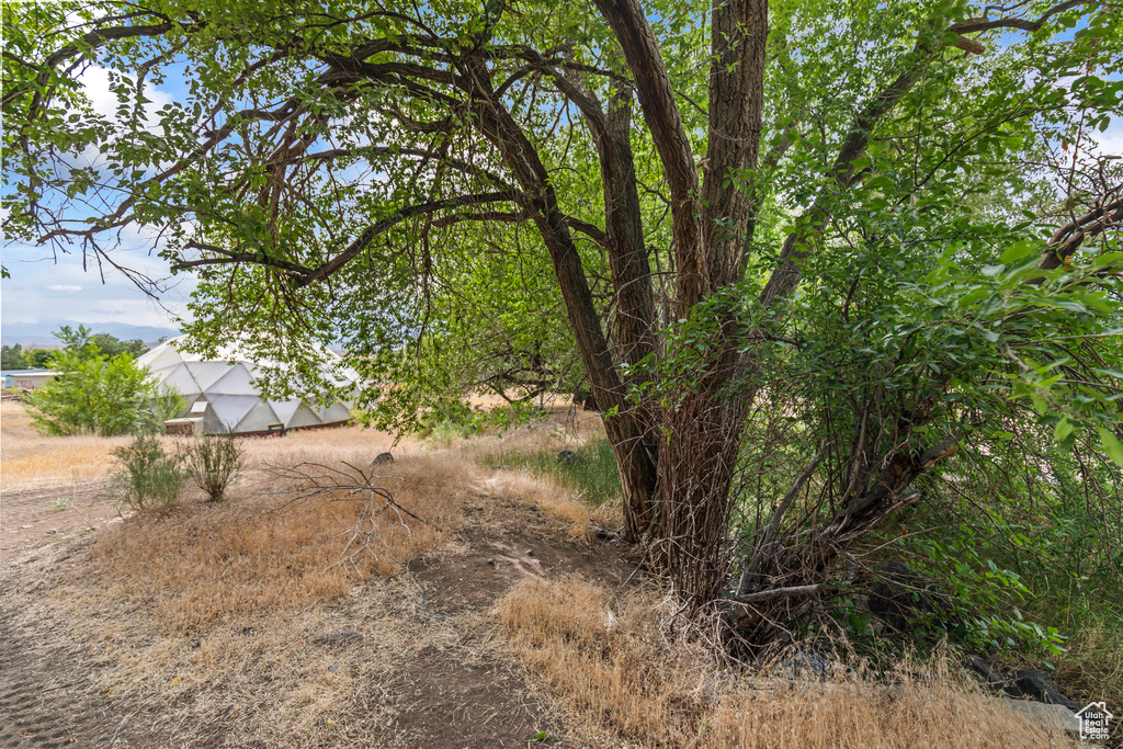 986 E 2290 N Monroe, UT 84754