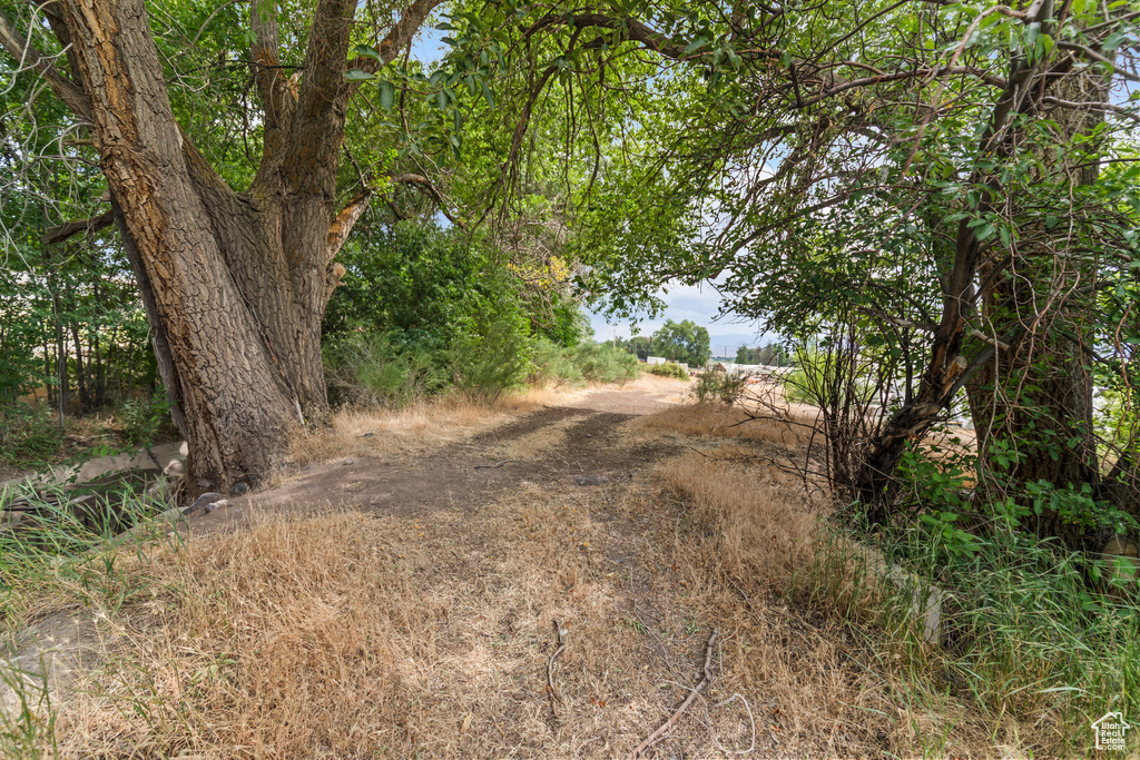 986 E 2290 N Monroe, UT 84754