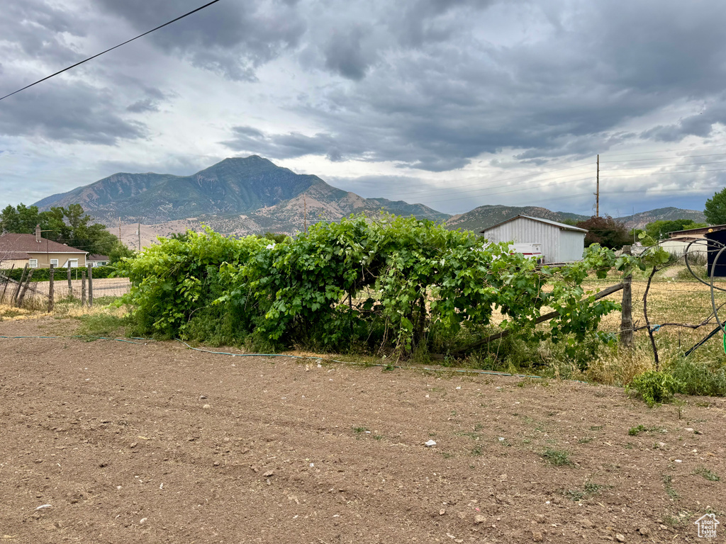 254 W 600 N Nephi, UT 84648