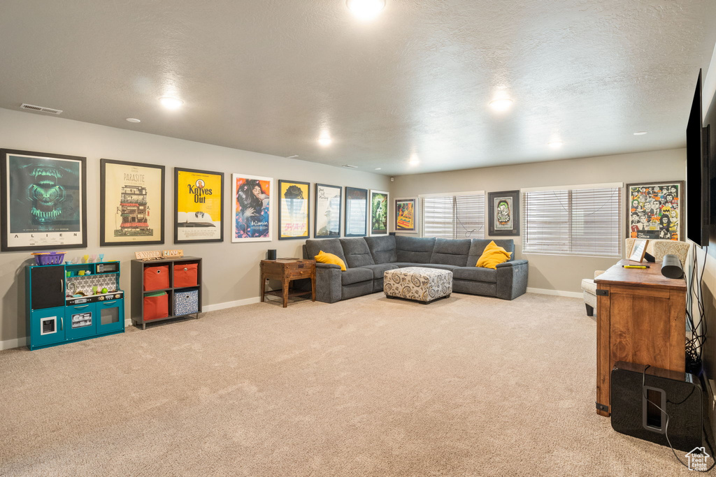 Living room with carpet and a textured ceiling