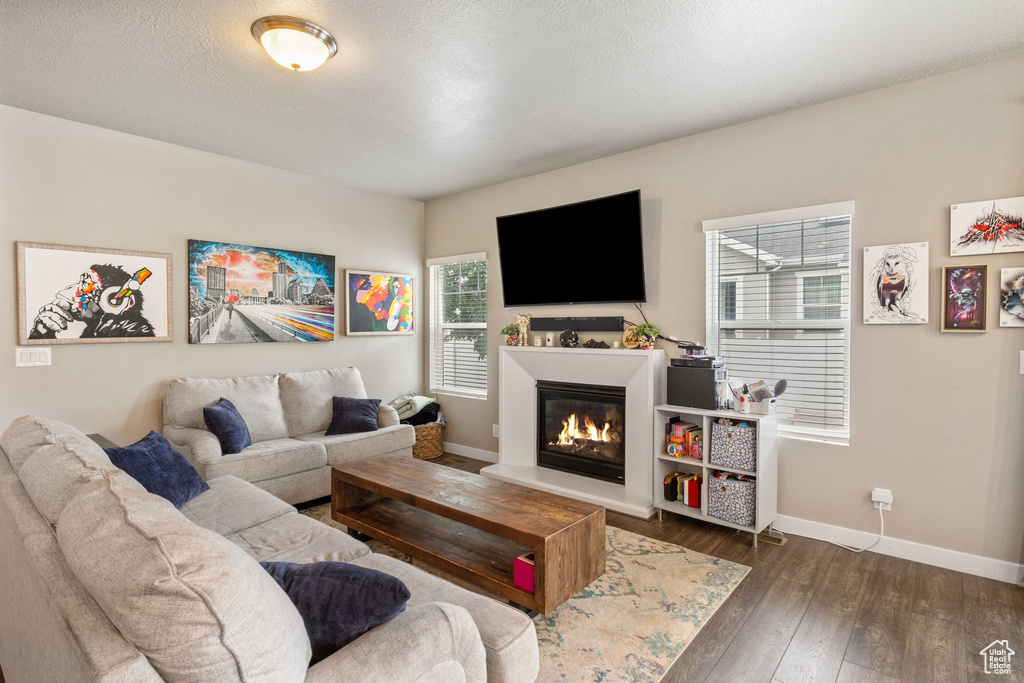 Living room featuring dark wood finished floors and a glass covered fireplace