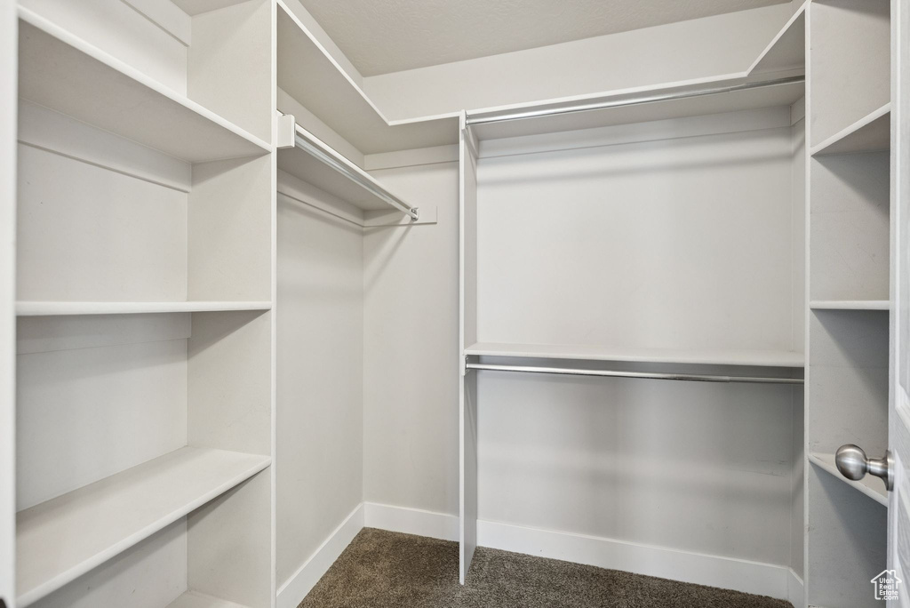 Walk in closet with dark colored carpet