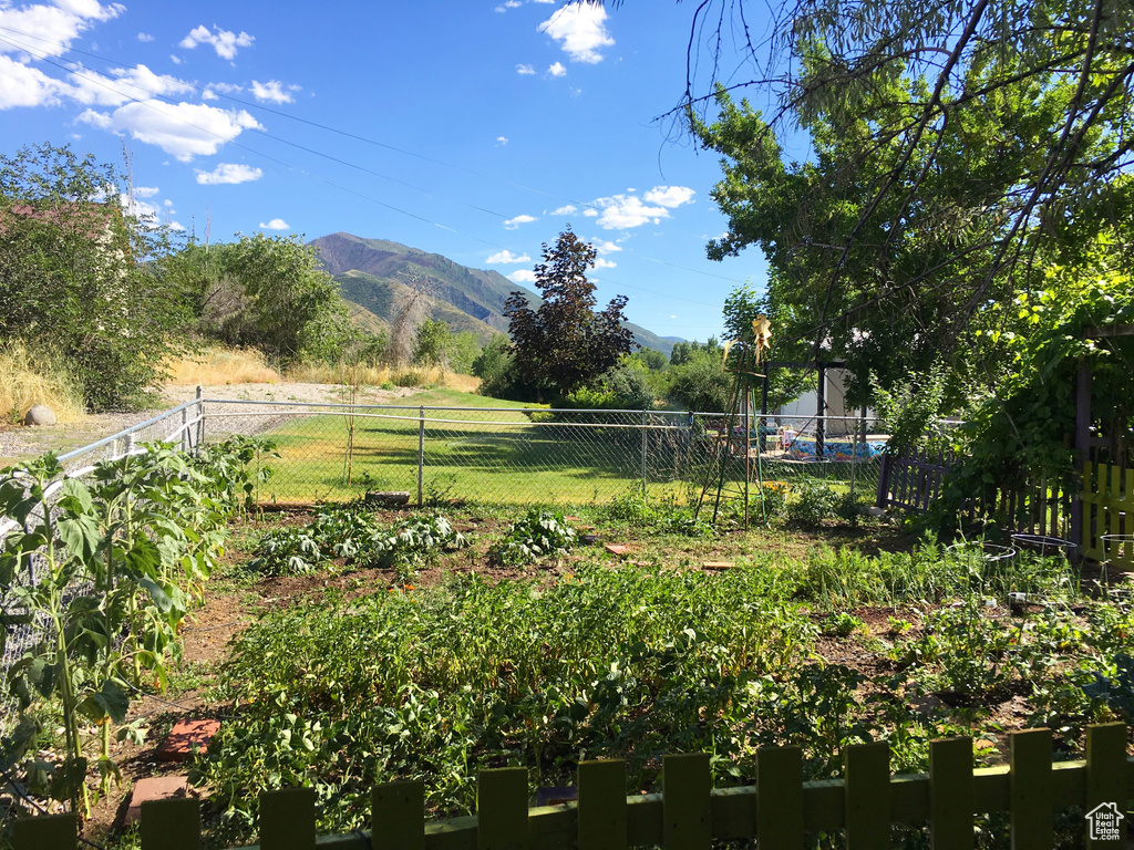 View of yard featuring a mountain view and a view of rural / pastoral area