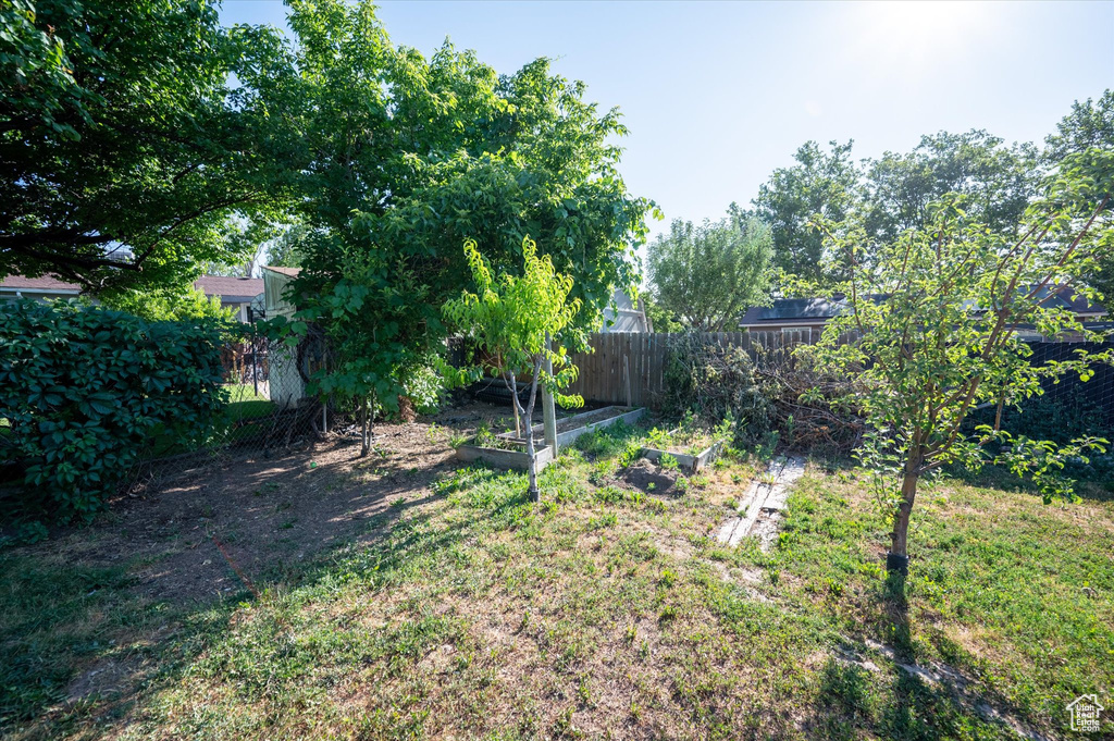 View of yard with a garden