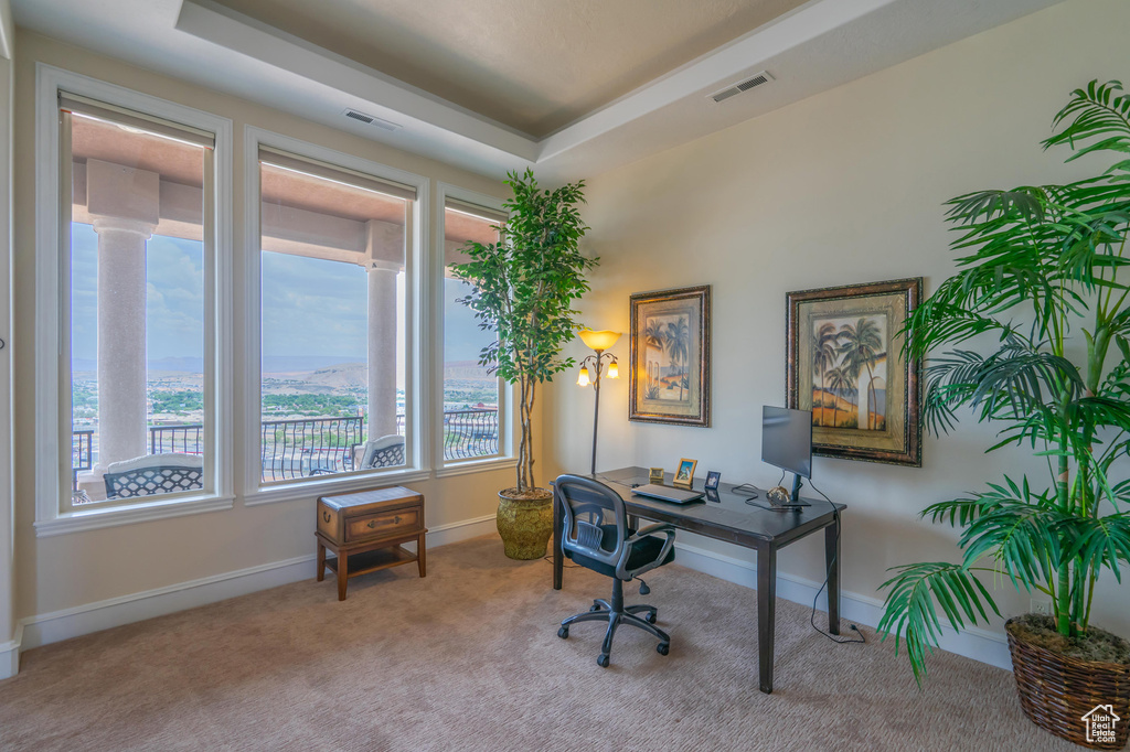 Carpeted home office featuring baseboards and a raised ceiling