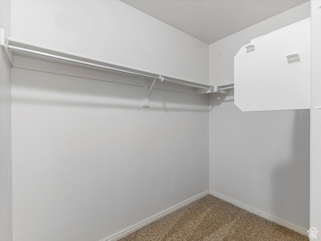 Spacious closet with carpet