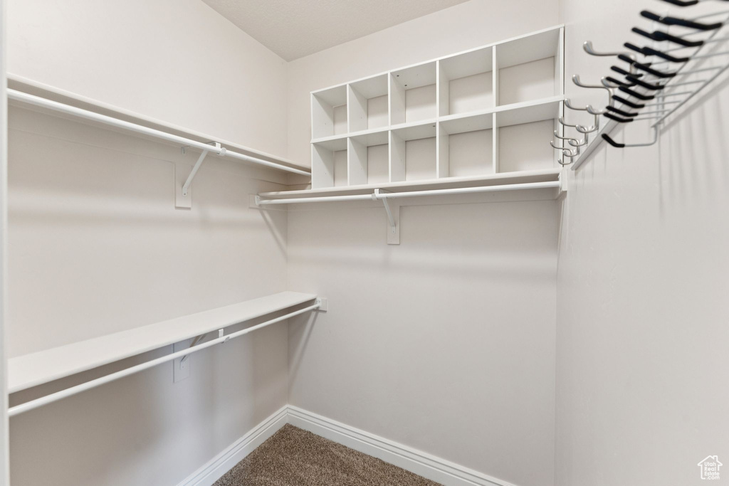 Walk in closet with carpet flooring