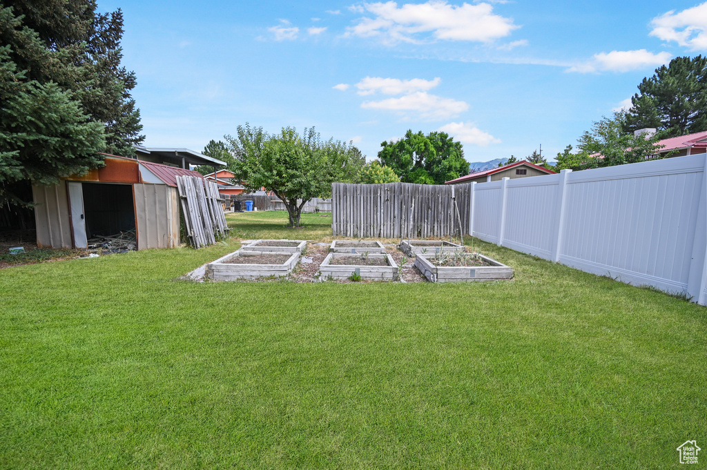 View of yard with a garden and a storage shed