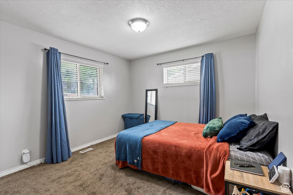 Carpeted bedroom with multiple windows and a textured ceiling