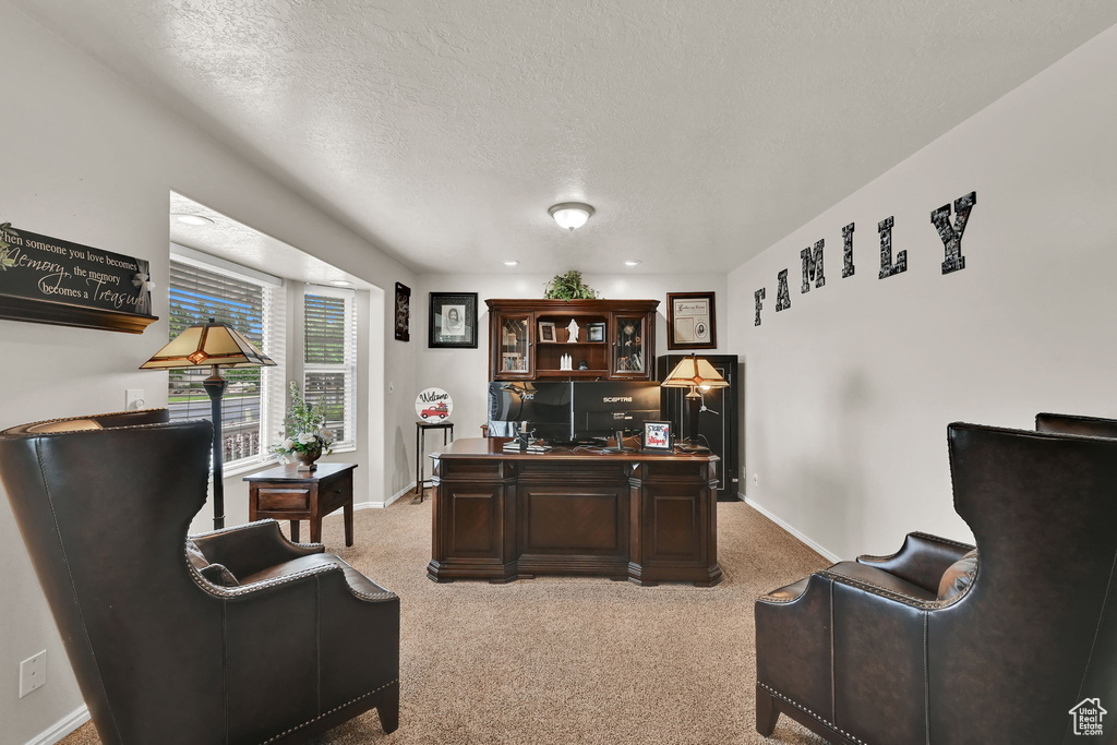 Office with light carpet and a textured ceiling