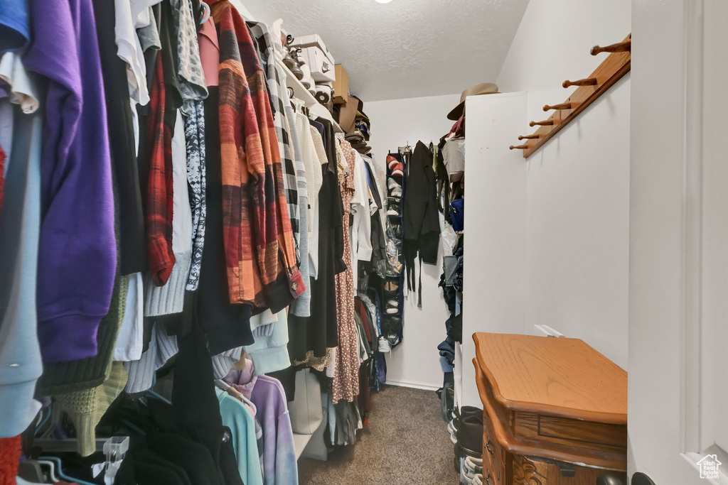 Walk in closet featuring carpet flooring