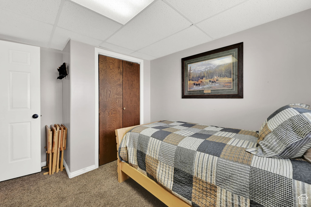Carpeted bedroom with a closet and a paneled ceiling