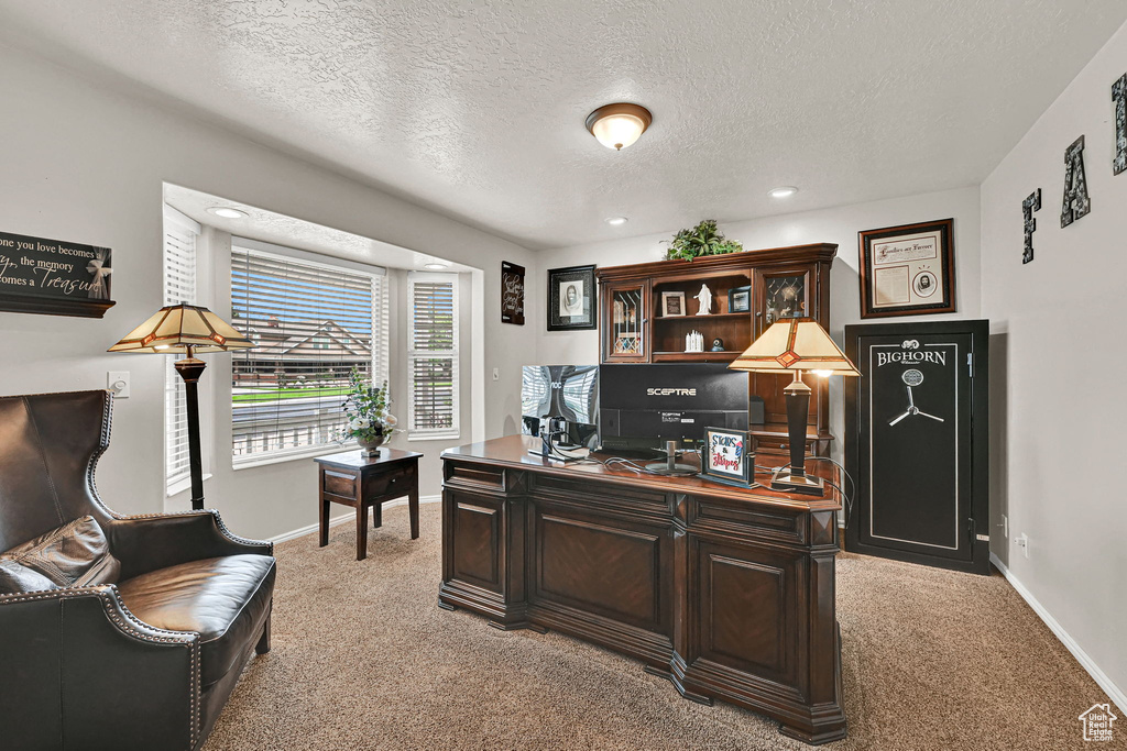 Office featuring light colored carpet, a textured ceiling, and recessed lighting