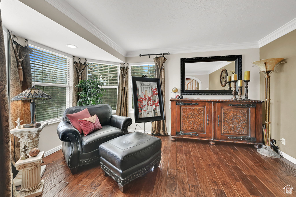 Living area with dark wood finished floors and ornamental molding