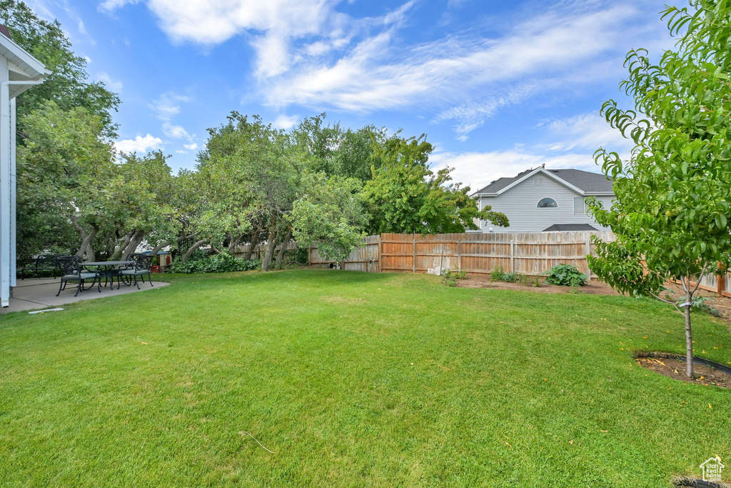View of yard with a patio